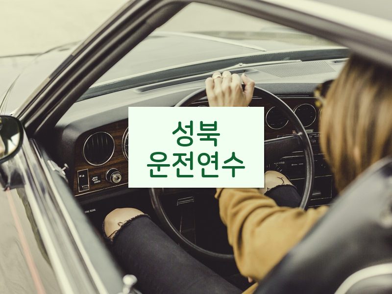 성북운전연수 후기