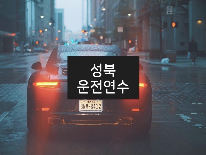 성북운전연수 후기
