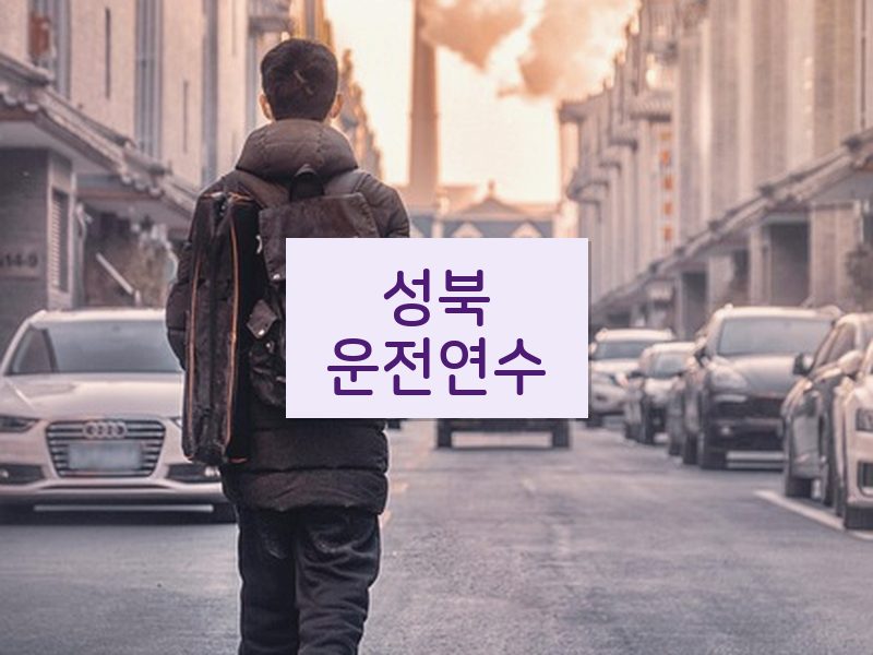 성북운전연수 후기