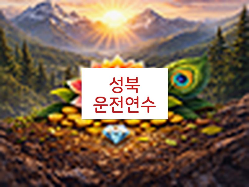 성북운전연수 후기