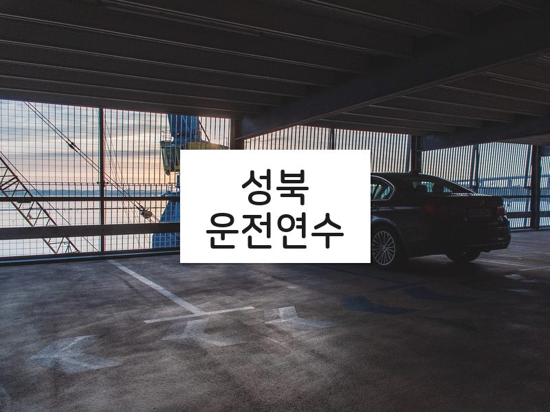 성북운전연수 후기