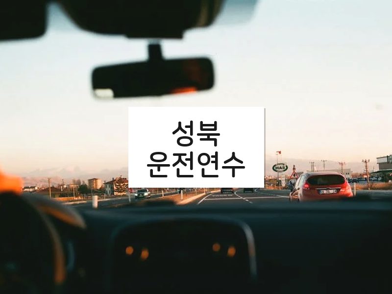 성북운전연수 후기
