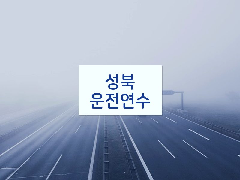 성북운전연수 후기