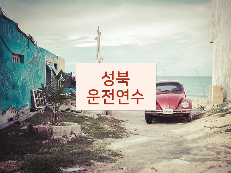 성북운전연수 후기