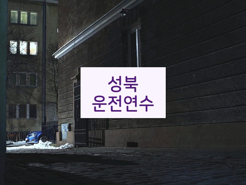 성북운전연수 후기