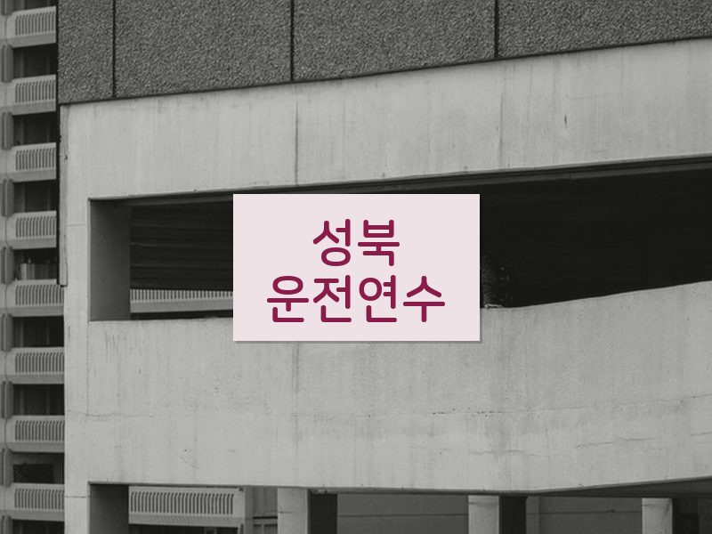 성북운전연수 후기