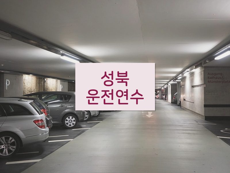 성북운전연수 후기