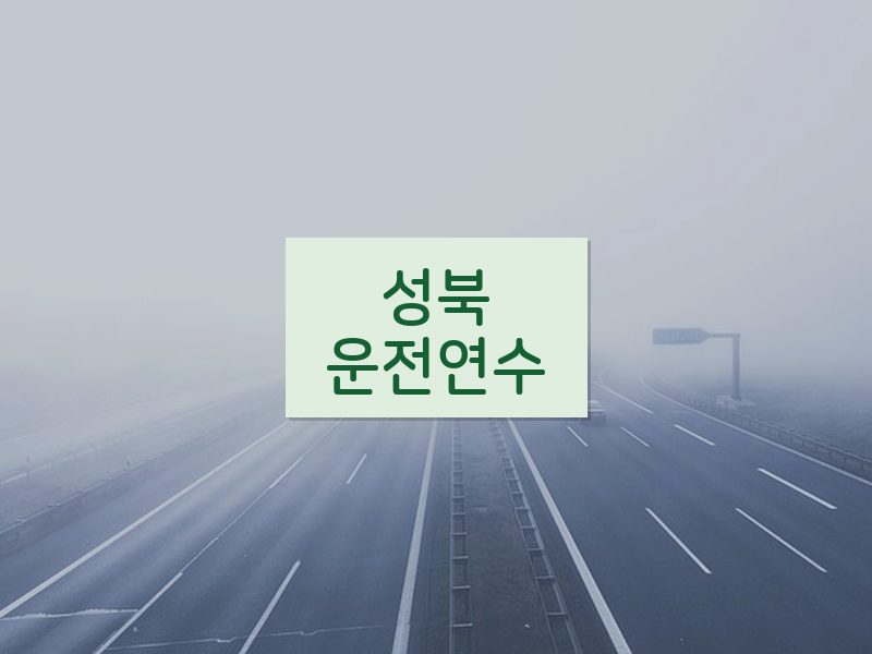 성북운전연수 후기