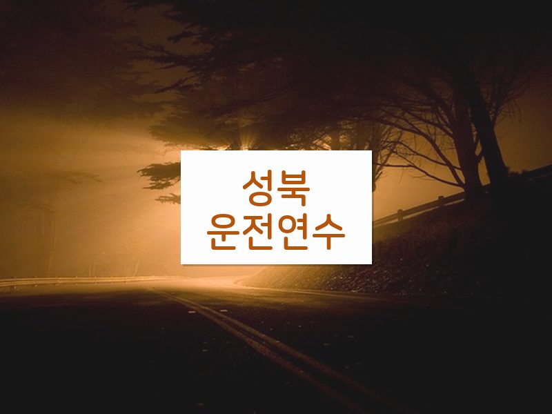 성북운전연수 후기