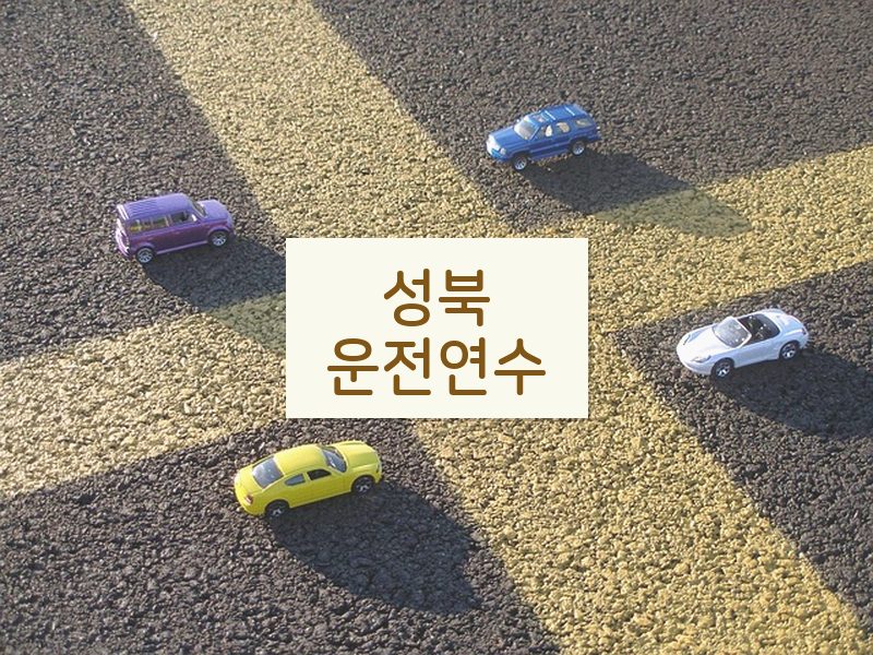 성북운전연수 후기