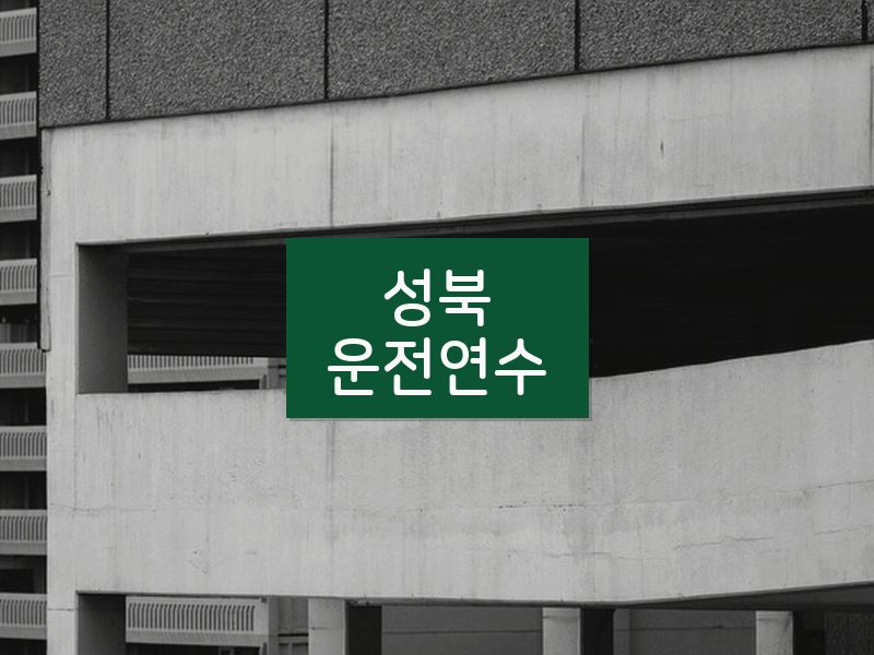 성북운전연수 후기