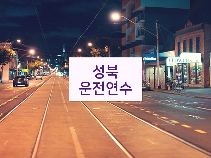 성북운전연수 후기