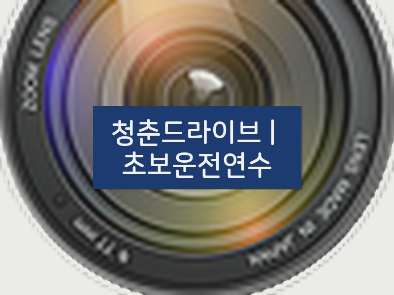 청춘드라이브 | 초보운전연수 후기