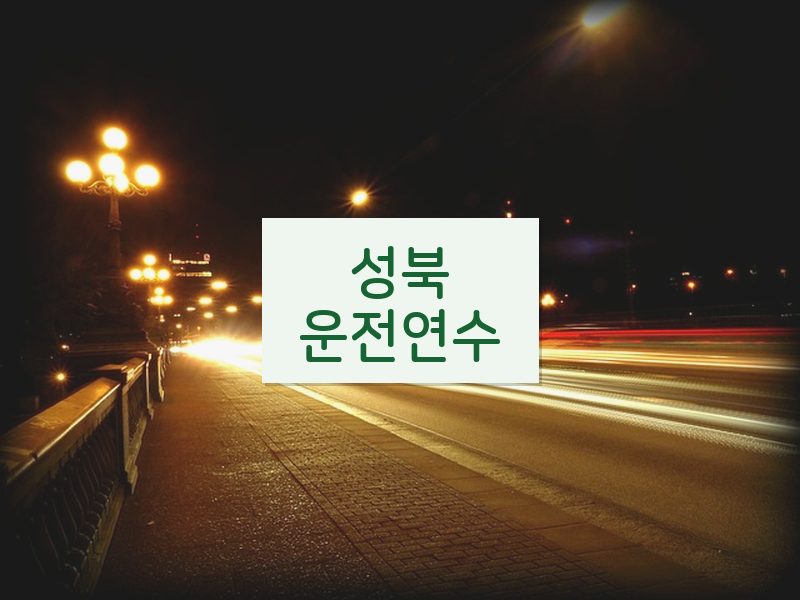 성북운전연수 후기