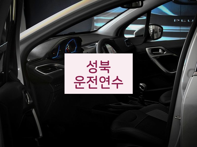 성북운전연수 후기