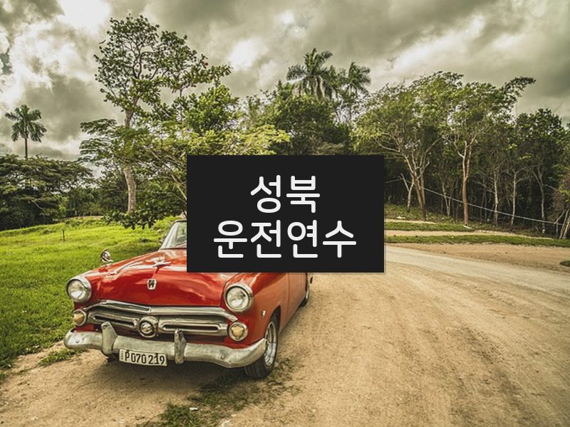 성북운전연수 후기