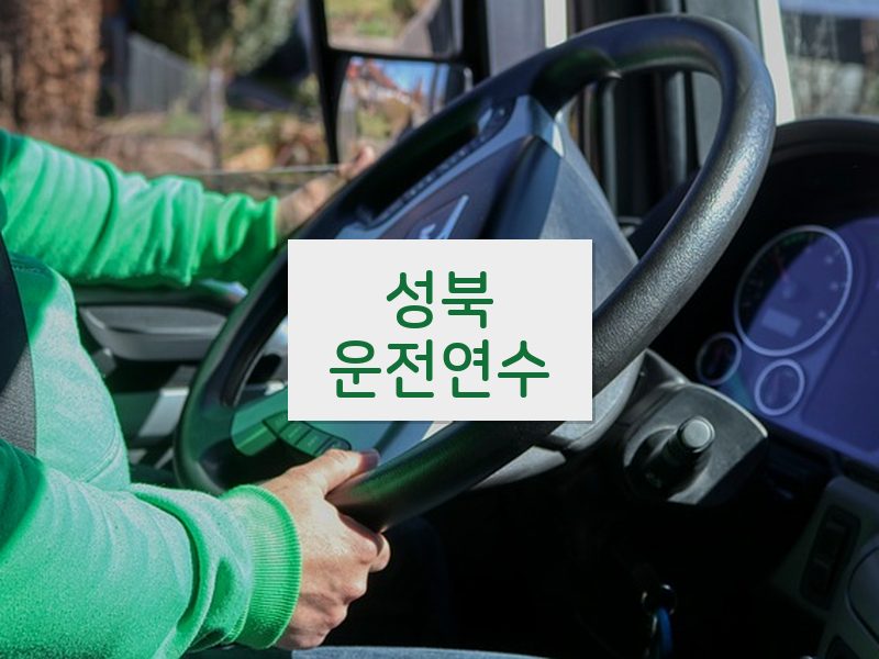 성북운전연수 후기