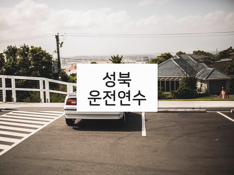 성북운전연수 후기