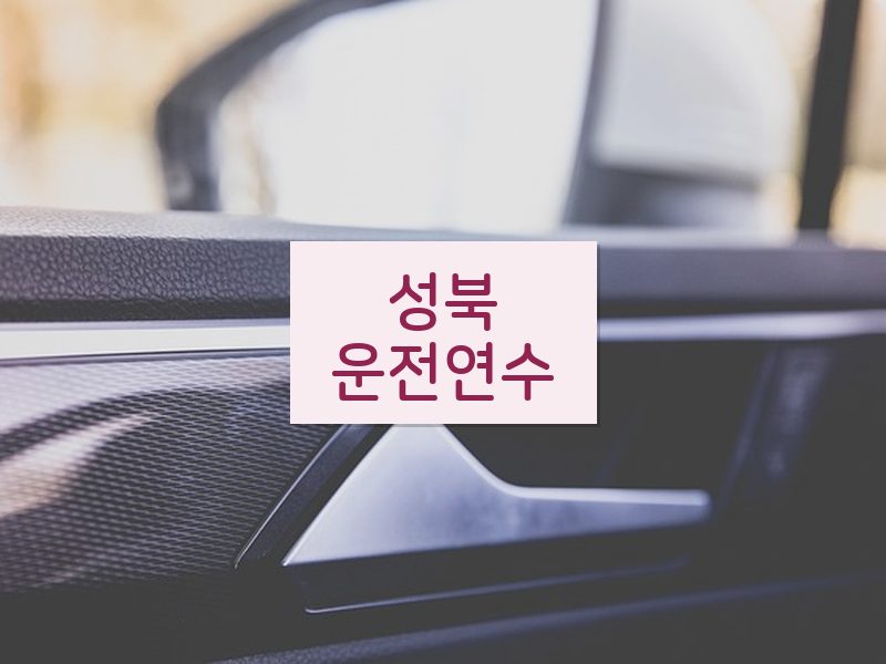 성북운전연수 후기