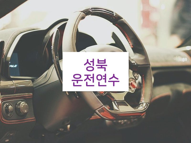 성북운전연수 후기