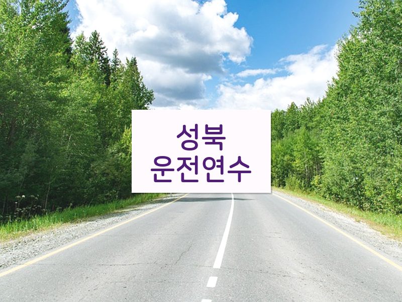 성북운전연수 후기