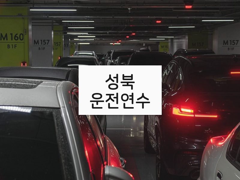성북운전연수 후기