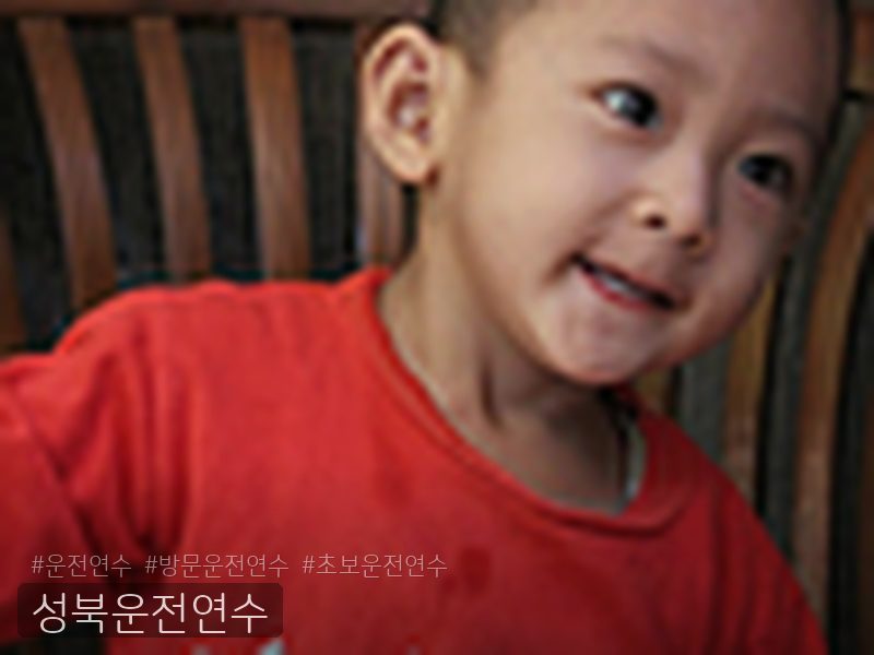 성북운전연수 후기
