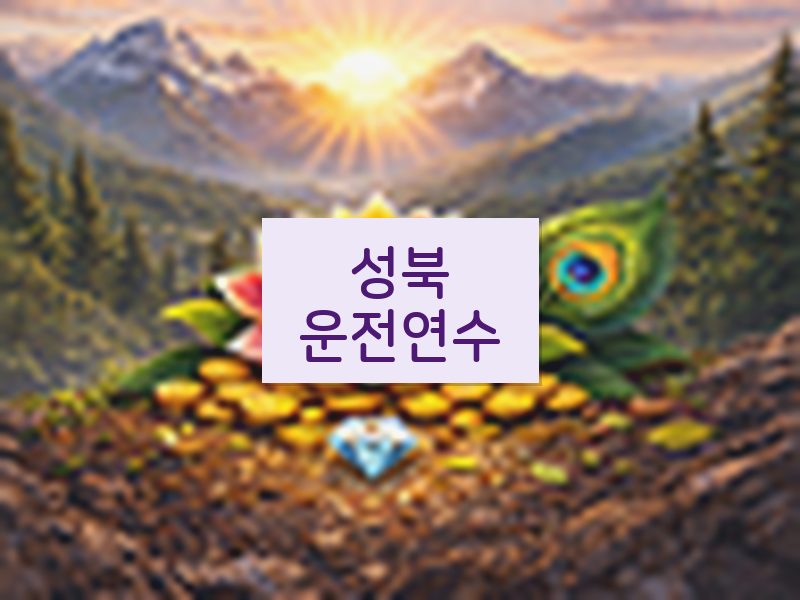 성북운전연수 후기