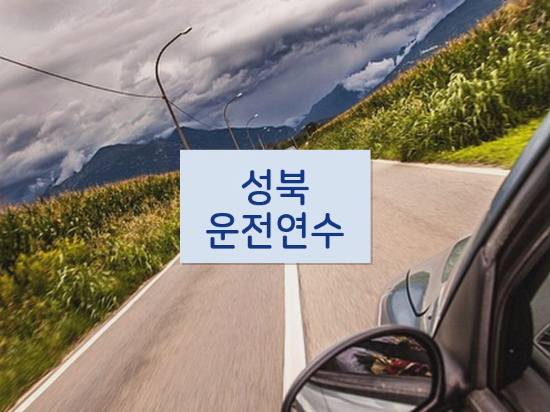 성북운전연수 후기
