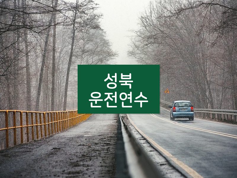 성북운전연수 후기