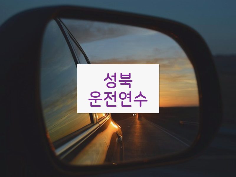 성북운전연수 후기