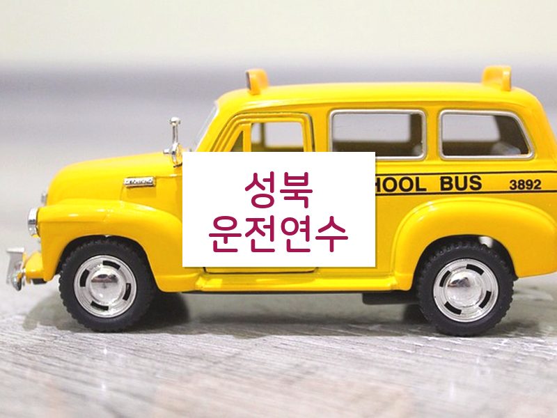성북운전연수 후기