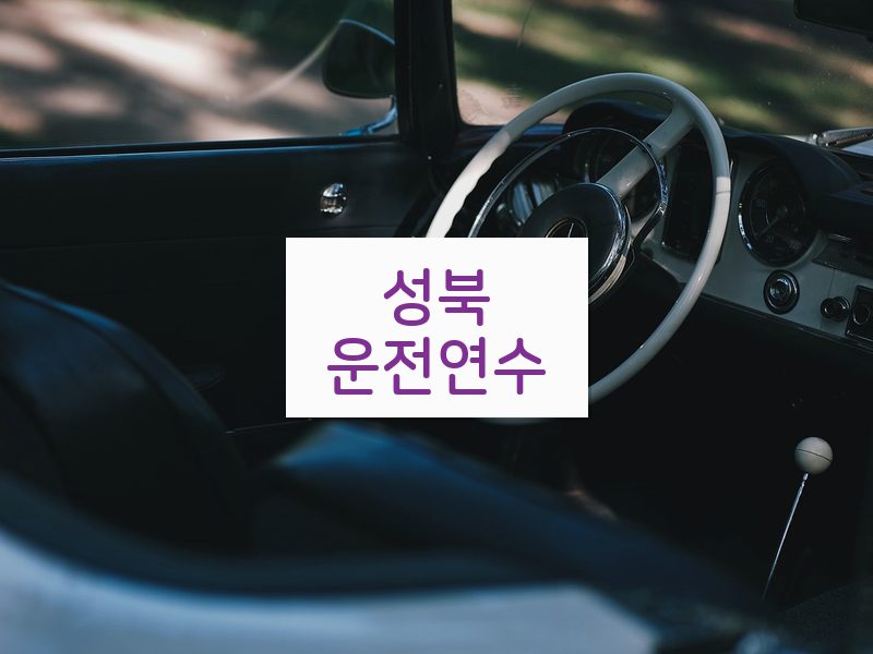 성북운전연수 후기