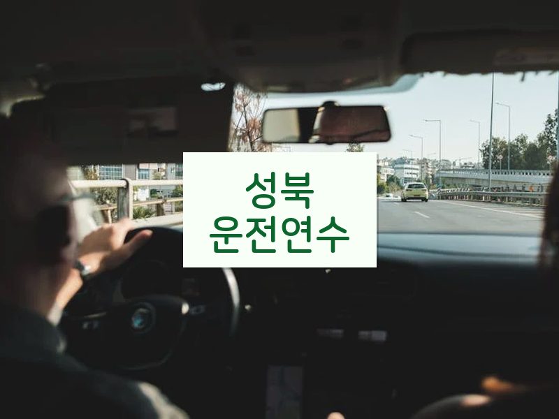성북운전연수 후기