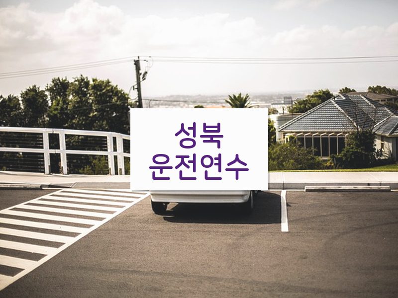 성북운전연수 후기