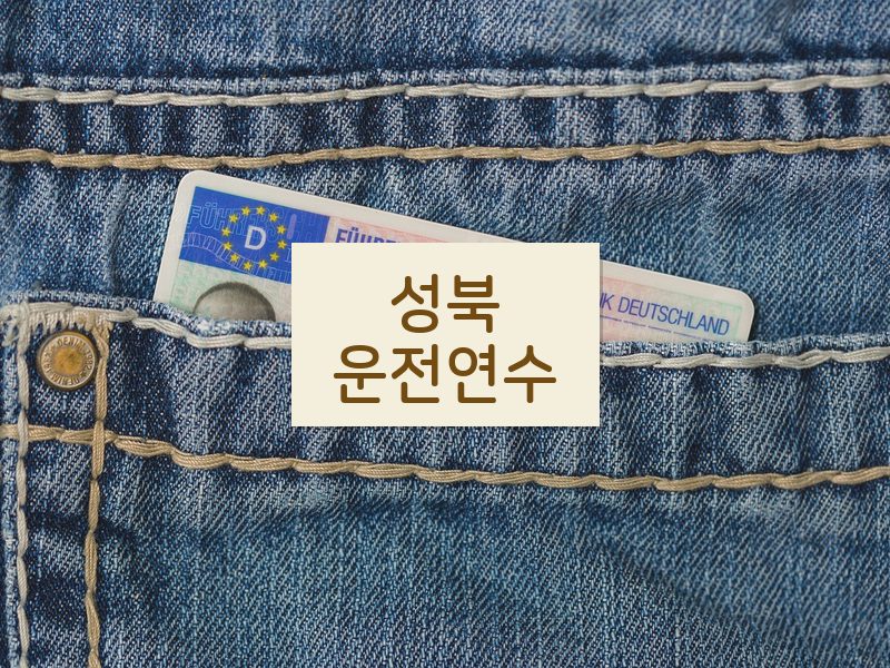 성북운전연수 후기