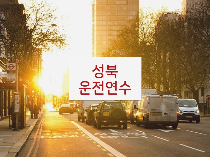 성북운전연수 후기