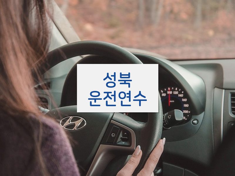 성북운전연수 후기