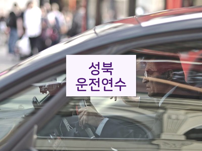 성북운전연수 후기