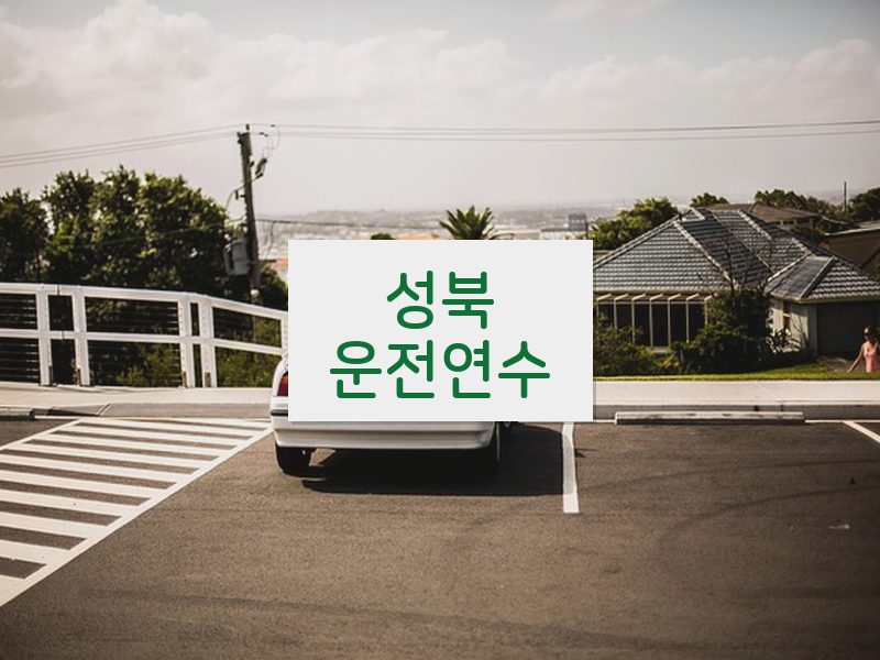 성북운전연수 후기