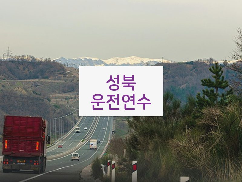 성북운전연수 후기