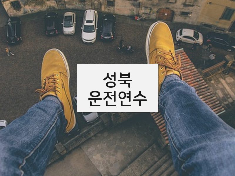 성북운전연수 후기