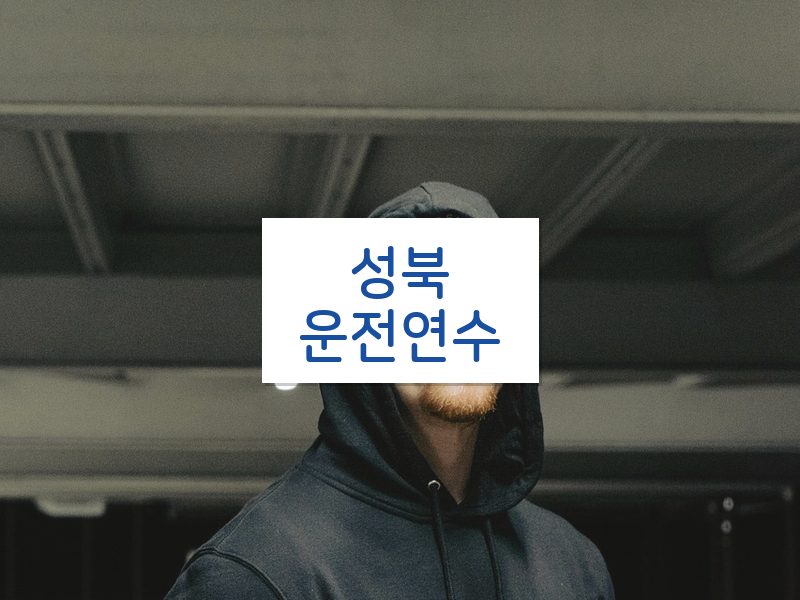 성북운전연수 후기