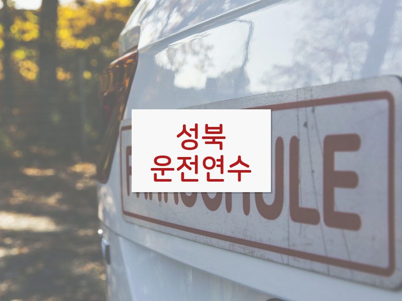 성북운전연수 후기