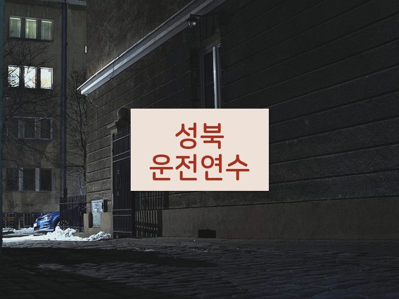 성북운전연수 후기