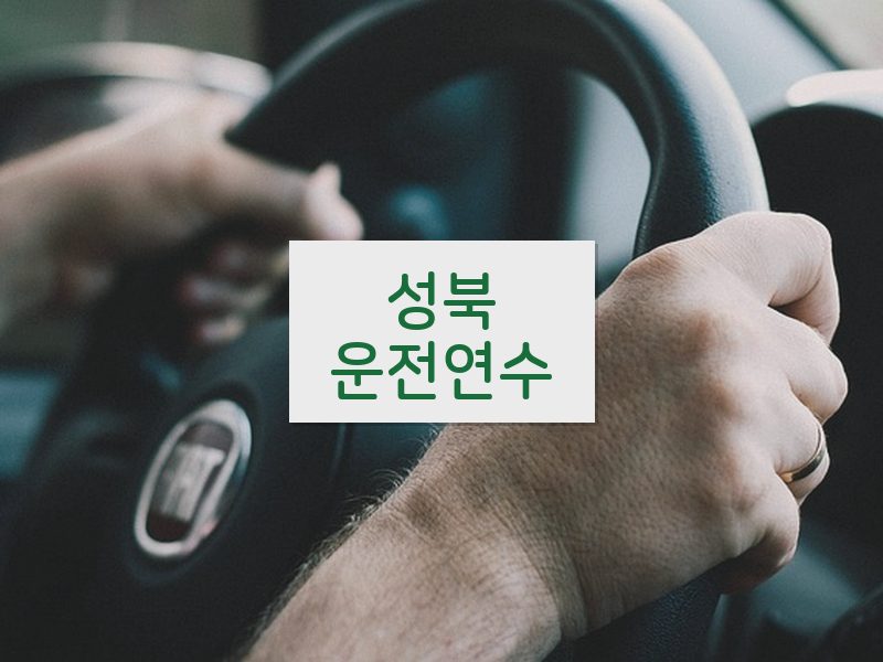 성북운전연수 후기