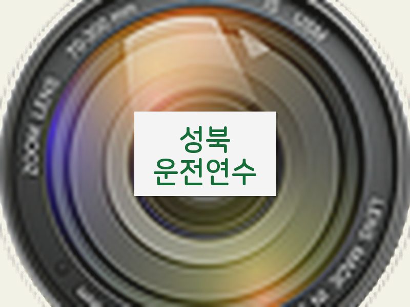 성북운전연수 후기